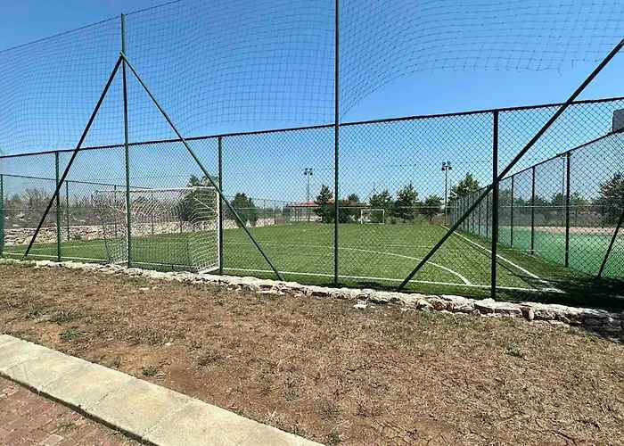 “golf And Sun” Family *